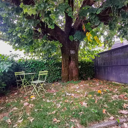 Le Nid Douill'aix Netflix Wifi Centre-ville Appartement Aix-les-Bains